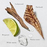 Armani Beauty Acqua di Gio Deodorant Cologne for Men 2.6oz — image 2