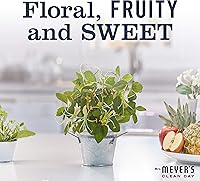 Mrs. Meyer's Honeysuckle Hand Soap & Refill Set — image 6