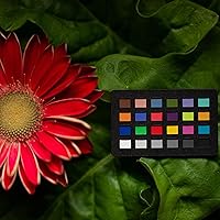 Calibrite ColorChecker Classic Nano — image 4