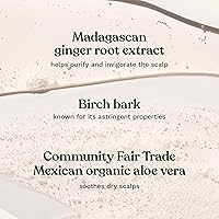 The Body Shop Ginger Scalp Care Conditioner 400mL — image 4