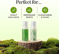 Maple Holistics Tea Tree Shampoo and Conditioner Set 16oz — image 2