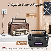 Gelielim RX-733BT Portable Radio — image 2