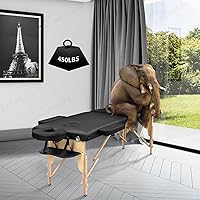 Paradmas Portable Massage Table — image 5