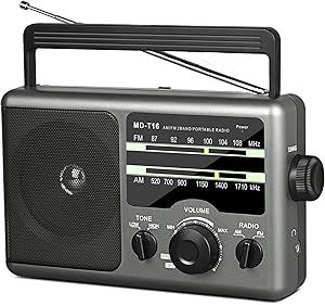 Jazmm T16 AM FM Portable Radio Review
