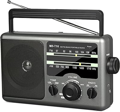 Jazmm T16 AM FM Portable Radio