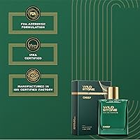 Wild Stone Chief Perfume for Men 100ml — image 5