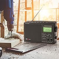 C. Crane CCRadio 3 — image 2