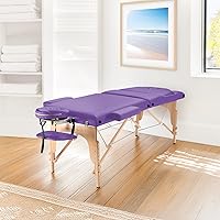Saloniture Professional Portable Massage Table with Backrest - Lavender — image 2