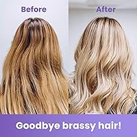 MOEHAIR Color Vibrant Blonde Shampoo 12 Fl. Oz — image 5