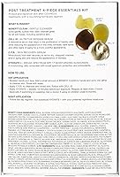 COSMEDIX Starter Kit - 4-Piece Travel Size Set — image 2