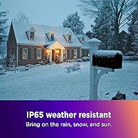 Roku Outdoor Wired Camera — image 4