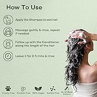 Botanic Hearth Tea Tree Shampoo and Conditioner Set, 16 Fl Oz Each — image 6