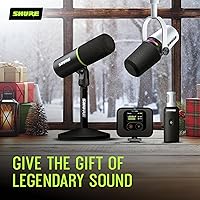 Shure BLX24R/SM58 Wireless Microphone System — image 8