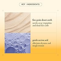 philosophy microdelivery exfoliating daily facial wash 16oz — image 2