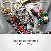 Sony E 50mm F1.8 OSS Portrait Lens — image 5