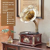 HZLSBL Vintage Gramophone with Bluetooth Output — image 3