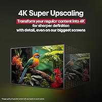 LG 42-Inch OLED evo AI 4K C5 Series Smart TV — image 7