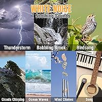 Raddy RE40 Portable Shortwave Radio — image 8