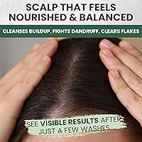 KESMEDIK Tea Tree Oil Shampoo and Conditioner MaxTherapy Set, 16 fl oz Each — image 3