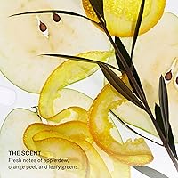 SEEN Body Wash - Scented 12.31oz — image 6