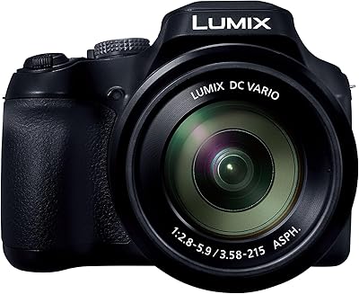 Panasonic LUMIX FZ80D