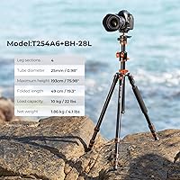 K&F Concept 74-inch Camera Tripod T254A6+BH-28L — image 2