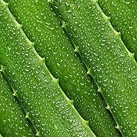 Mario Badescu Collagen Face Moisturizer SPF 15, 59mL — image 4