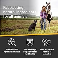 Absorbine Silver Honey Rapid Skin Relief Medicated Shampoo, 16 fl oz — image 4