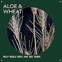 Aveda Volumizing Hair Tonic 3.4oz — image 3