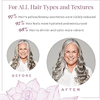 Maison 276 3-Step System for Silver & Blonde Hair — image 5