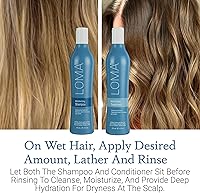 Loma Hair Care Moisturizing Shampoo & Treatment Duo — image 3