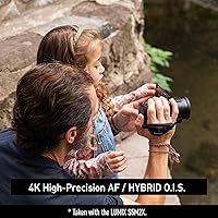 Panasonic VX3 4K Camcorder — image 4