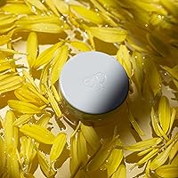 Ere Perez Natural Arnica All-Cover Pot Concealer - Latte, 0.18 oz — image 3