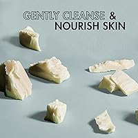 SheaMoisture African Black Soap Body Wash 13 fl. oz — image 6