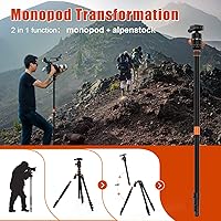 PHOPIK PT244 77″ Camera Tripod — image 4