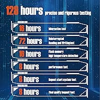 LEVEN JPS600 4TB PCIe NVMe SSD — image 6