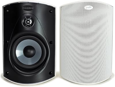 Polk Audio Atrium 6 Outdoor Speakers