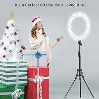 IVISII Bi-Color 18″ Ring Light — image 7