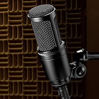 Audio-Technica AT2020 Cardioid Condenser Microphone — image 5