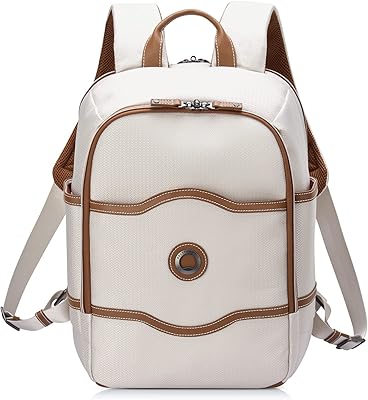 DELSA PARIS Chatelet 2.0 Travel Laptop Backpack
