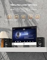OHAYO C6-Black 60W Computer Speakers — image 5