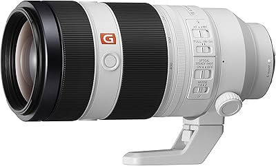 Sony FE 100-400mm F4.5–5.6 GM OSS Lens