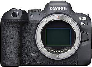 Canon EOS R6 Full-Frame Mirrorless Camera Review