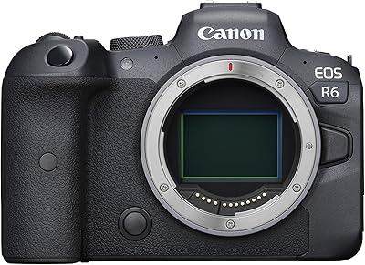 Canon EOS R6 Full-Frame Mirrorless Camera