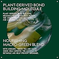 Aveda Botanical Repair Bond-Building Styling Creme 5oz — image 3