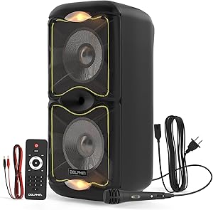 Dolphin BoxParty 212 Review