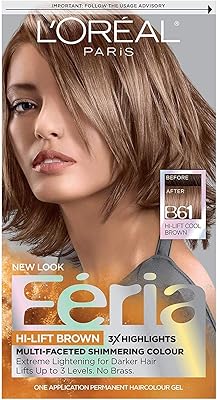 L'Oreal Paris Feria Multi-Faceted Shimmering Hair Color B61 Downtown Brown