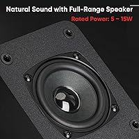 Saiyin SDS6400M Passive Bookshelf Speakers — image 2