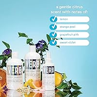 VERB Glossy Shampoo 12.48oz — image 4