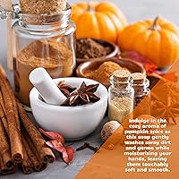 Bastion Pumpkin Spice Antibacterial Hand Soap - 1 Gallon — image 6